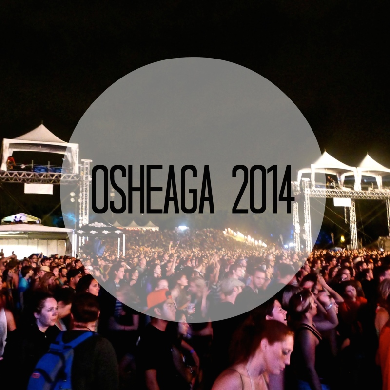 Osheaga music festival at night